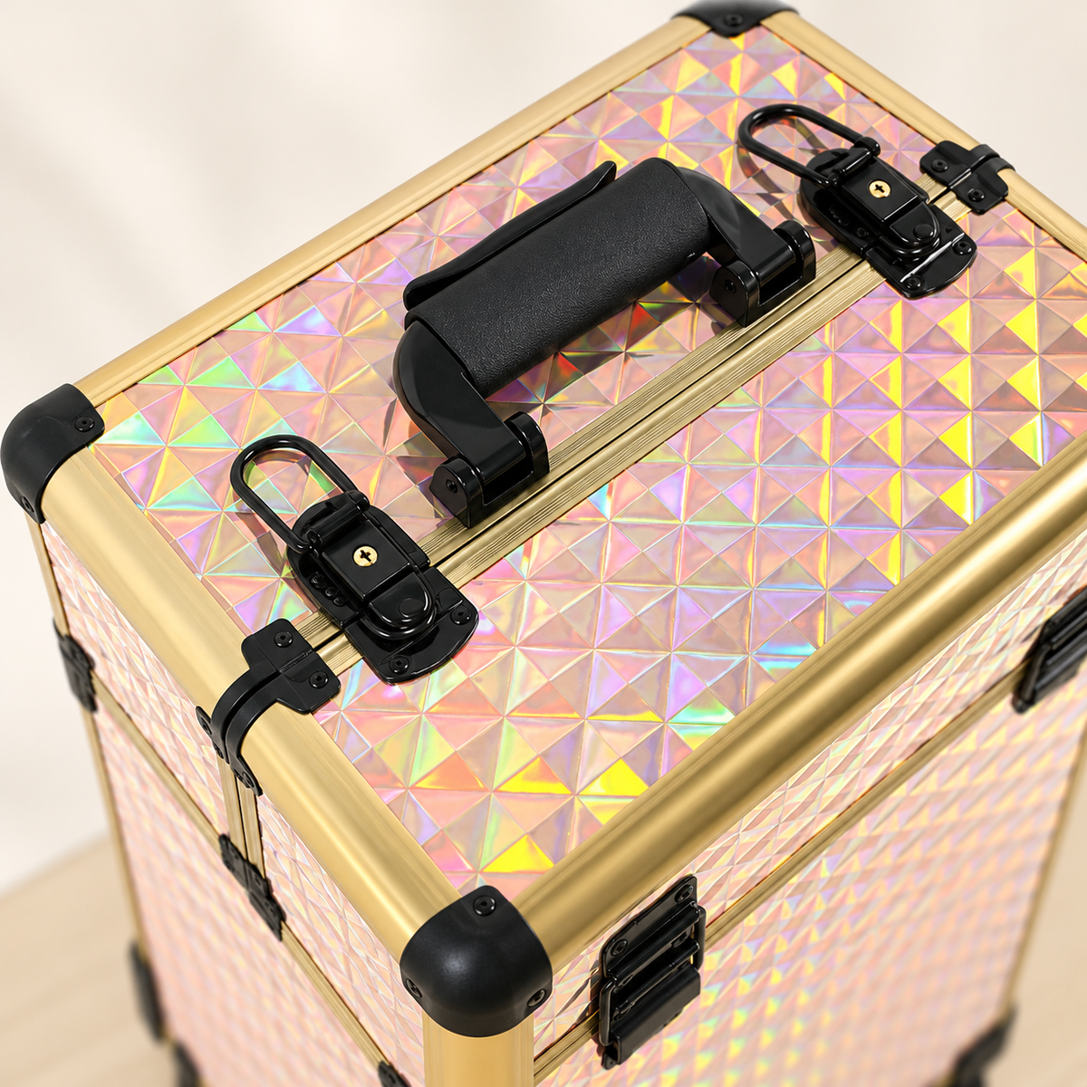 Source-informed view of the top carry grip and case closure hardware; no security guarantee.