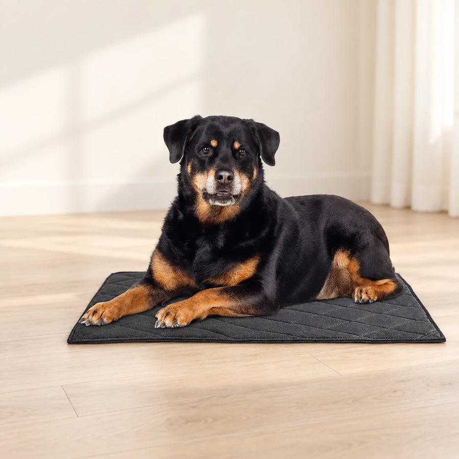 Black thin quilted dog mat with a resting dog on a pale wood floor