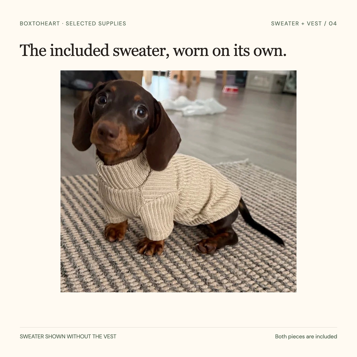 Actual supplier photograph of the selected oat ribbed sweater alone on one dog, with a tall ribbed neck, front-leg sleeves and exposed rear legs and paws. The separate vest is included in the set.