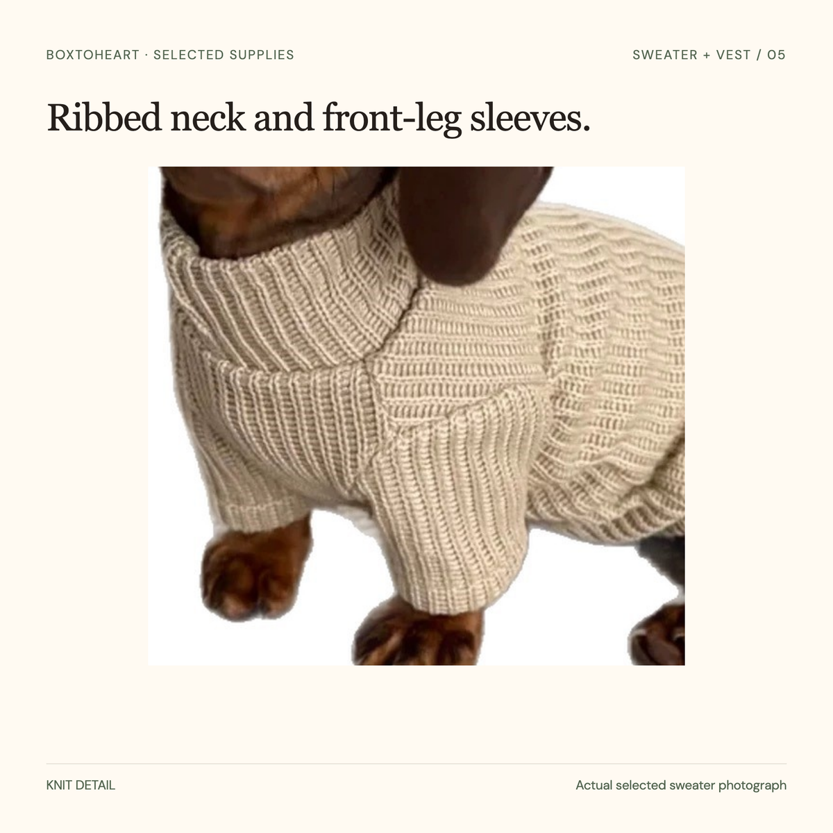 Unretouched supplier-photo detail of the selected oat sweater ribbed neck and knitted front sleeve, with paw exposed.