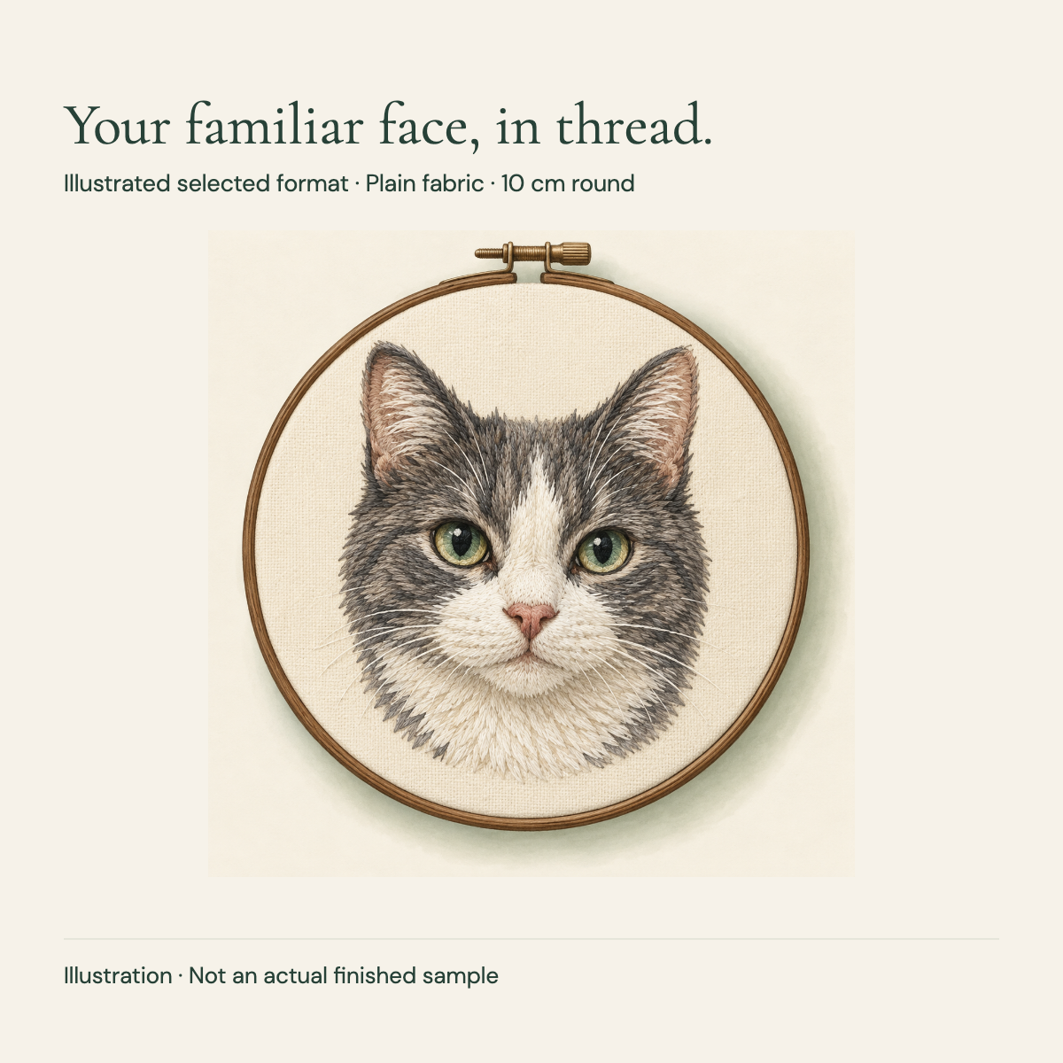 Illustrated gray and white cat portrait in a round plain fabric embroidery hoop; selected format visualization, not an actual finished sample.