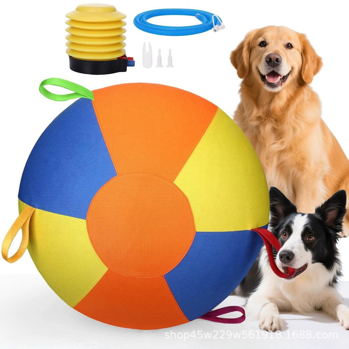 Composite showing a multicolour ball and accordion-style pump; dog proportions are not a size or breed-fit reference.