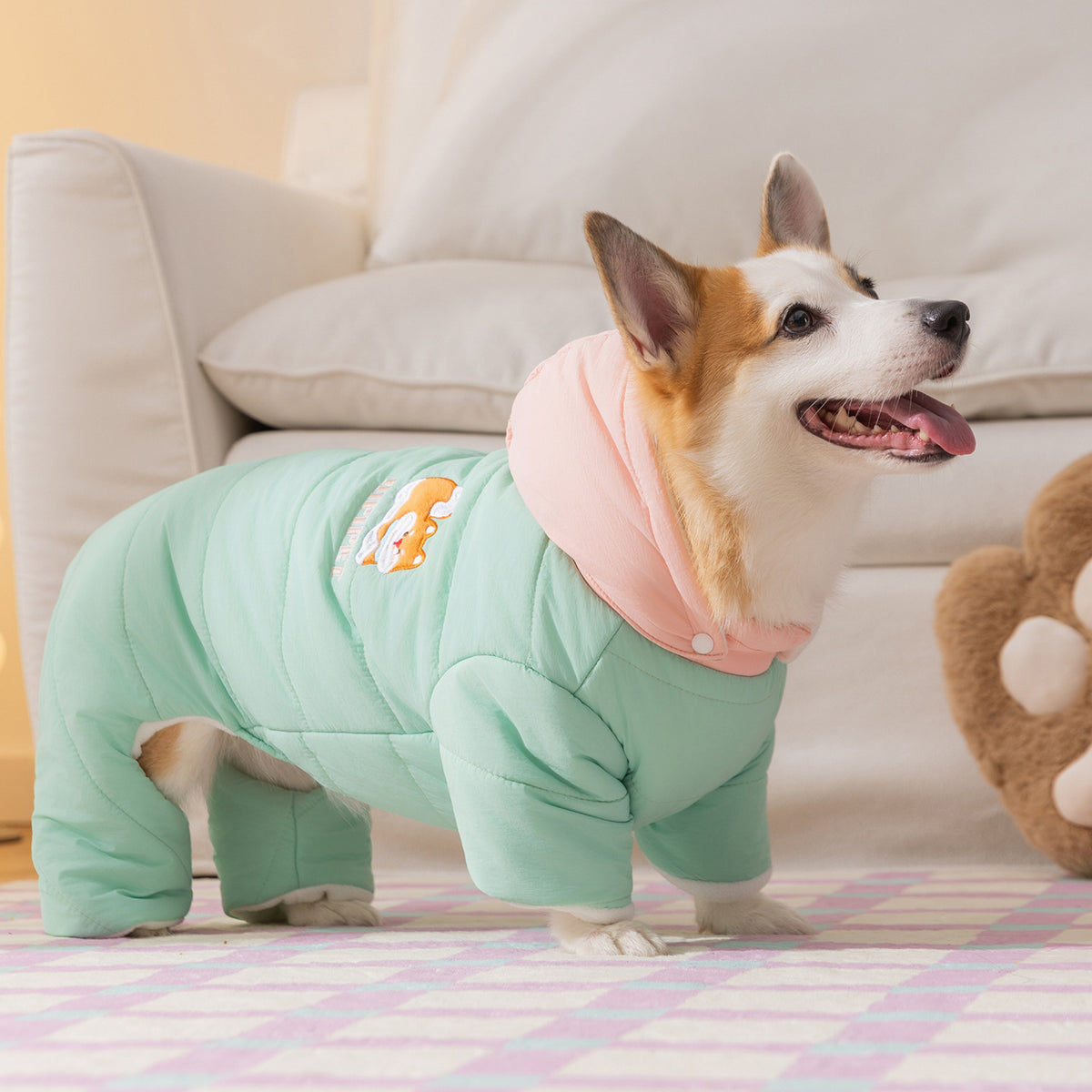 Styled photograph of the green four-leg coat on a dog; not a size or breed recommendation.