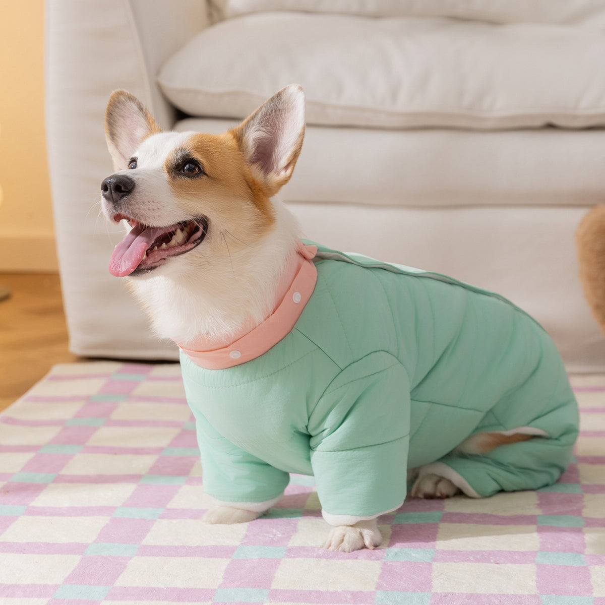 The green four-leg coat with hood removed and pink neckband visible; hood included.