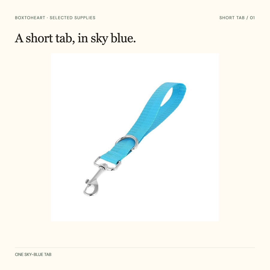 One sky-blue woven short hand tab with a silver swivel trigger clip and separate base D-ring.