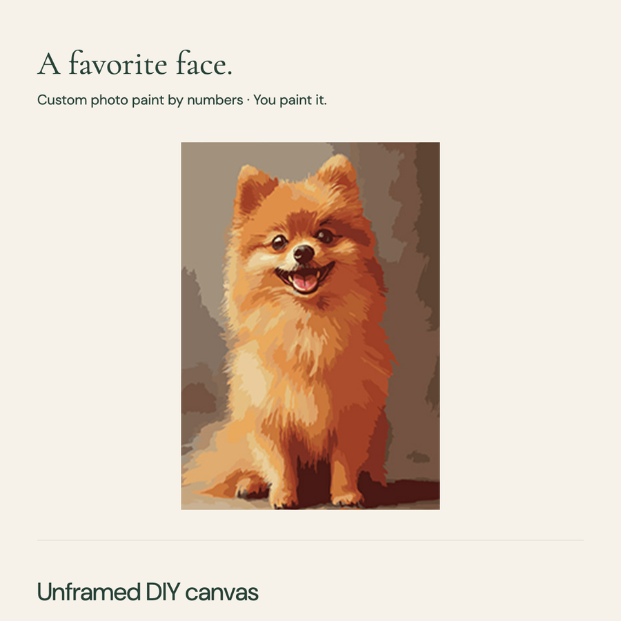 Example of a golden dog rendered in paint-by-numbers color regions; buyer completes the painting.