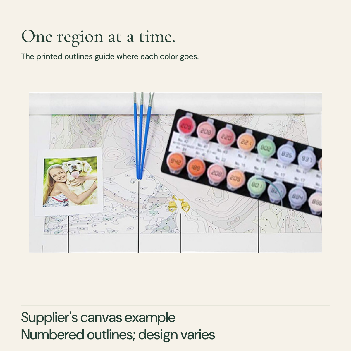 Detail of supplier numbered outline canvas with brushes and reference card; example design.