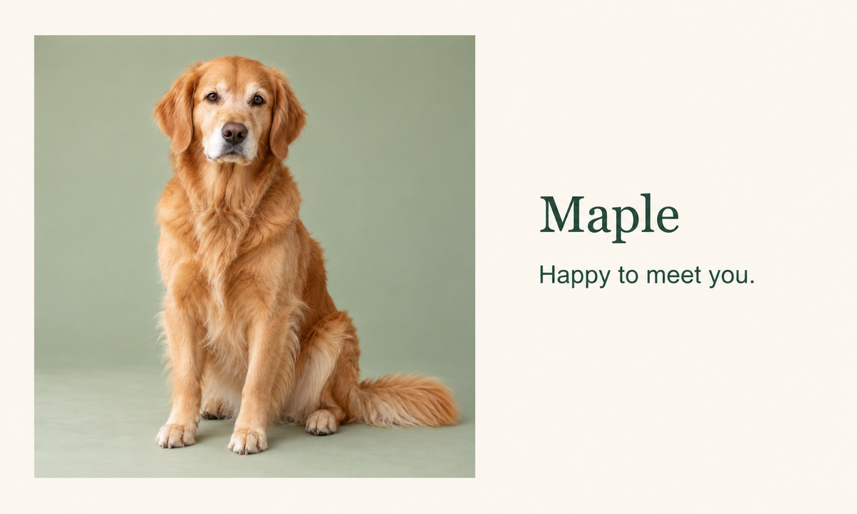 AI rendered front design showing fictional golden retriever Maple, pet name and Happy to meet you. on a cream card.
