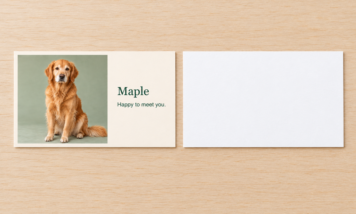 AI rendered two-face explanation: fictional Maple front beside an unprinted white reverse.