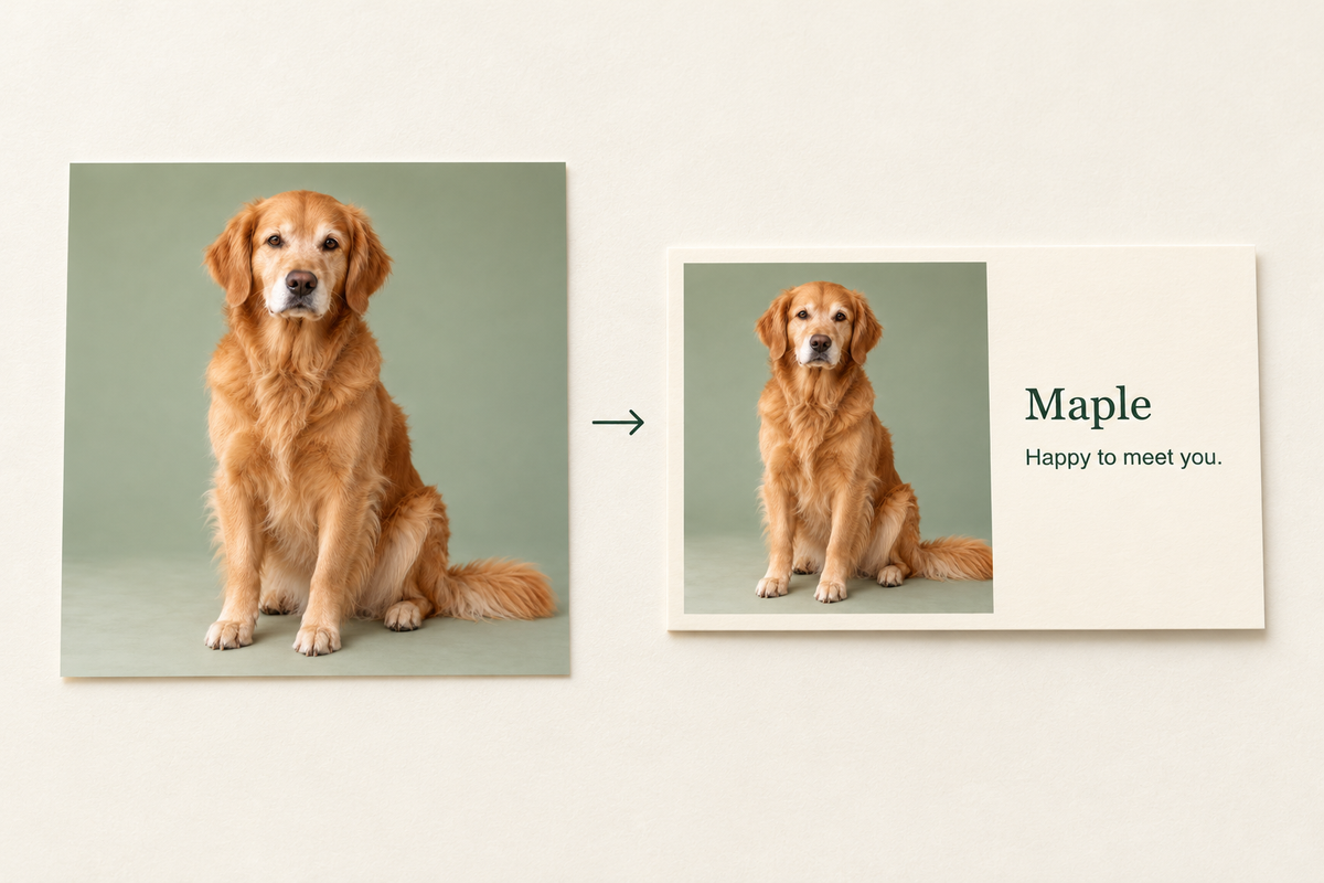 AI fictional Maple portrait input beside a matching card design; the separate portrait print is an explanatory prop and is not included.