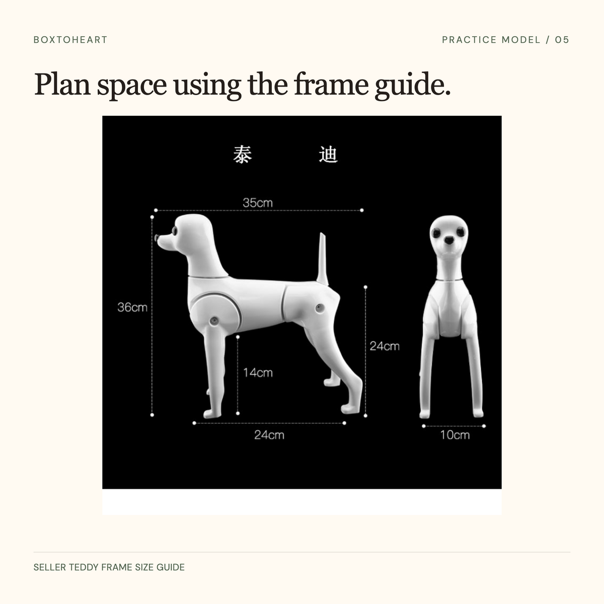 Teddy practice-frame diagram showing 35 cm length, 36 cm height and 10 cm front width.
