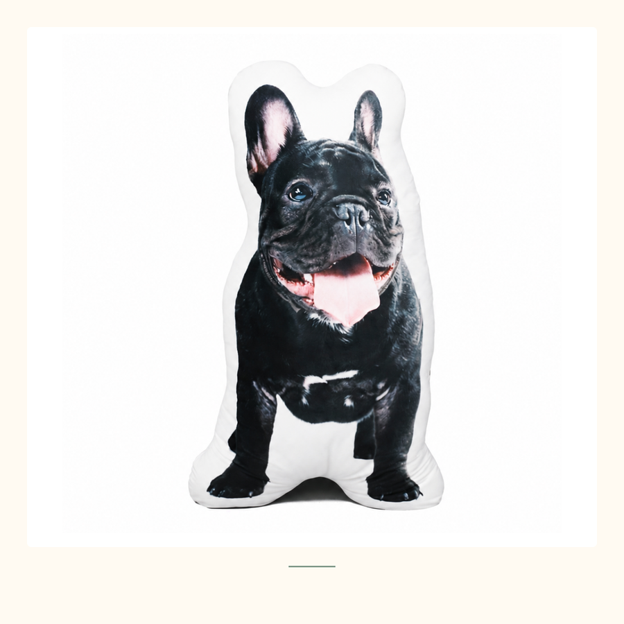 A shaped pet photo pillow showing one French bulldog.