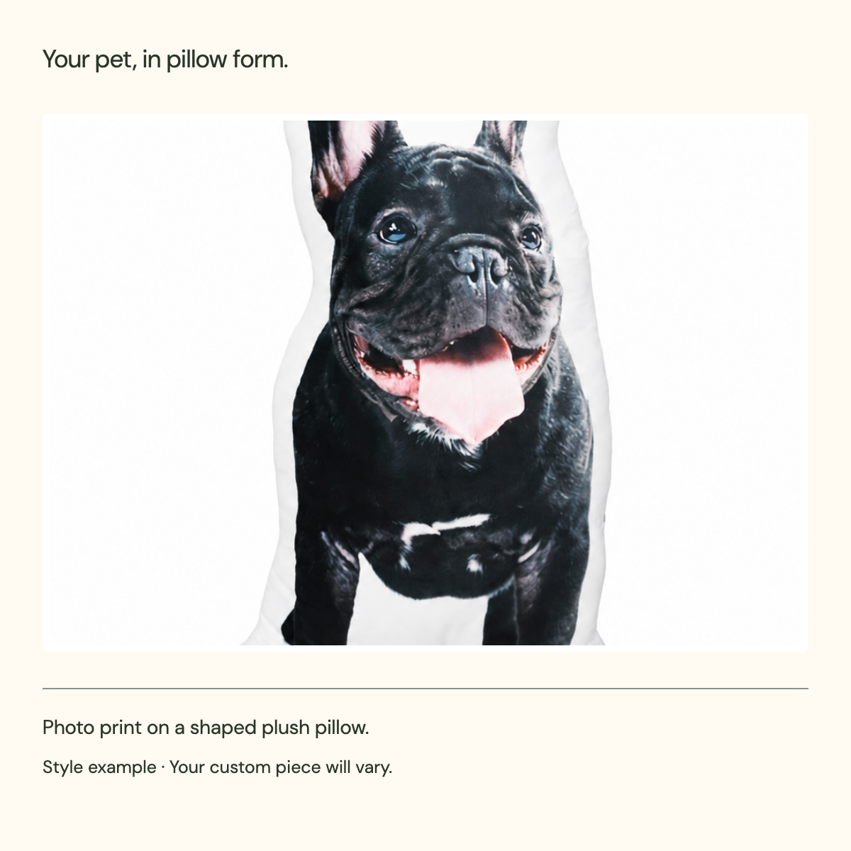 Close-up of the photo print and white border on the pet pillow style example; custom results vary.