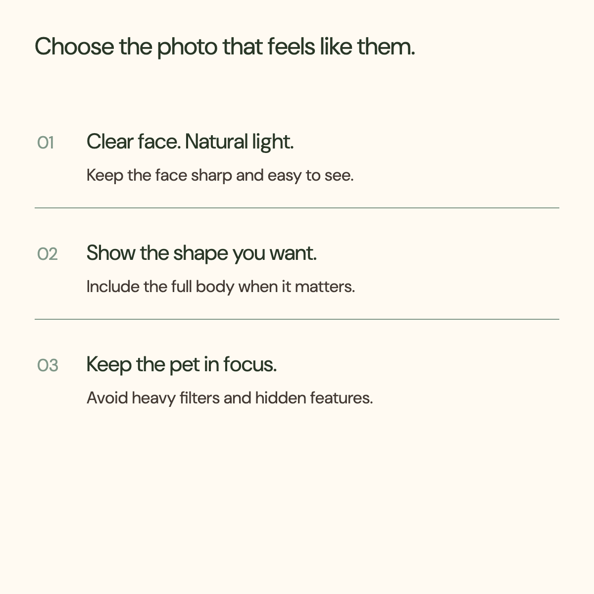 Photo preparation guidance: clear face in natural light, full body when relevant, and no heavy filters.