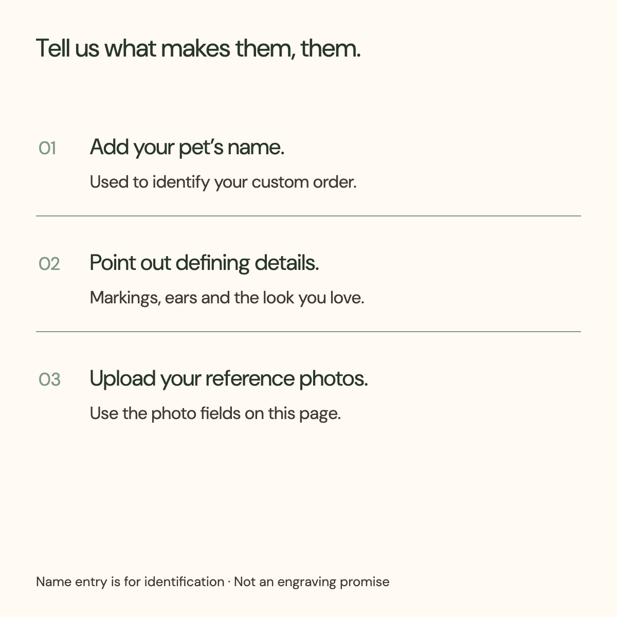 Personalization steps: enter the pet name, defining details and reference photos; name is for order identification.