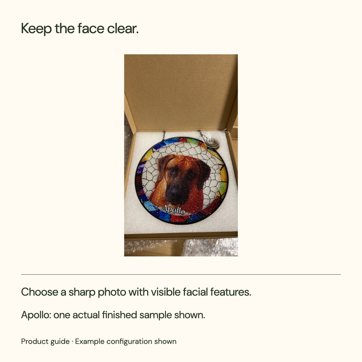 Keep the face clear. Choose a sharp photo with visible facial features. Apollo: one actual finished sample shown.