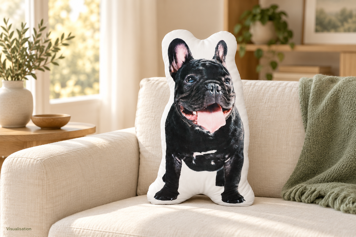 Illustrated setting: living-room sofa setting with one French-bulldog photo pillow.
