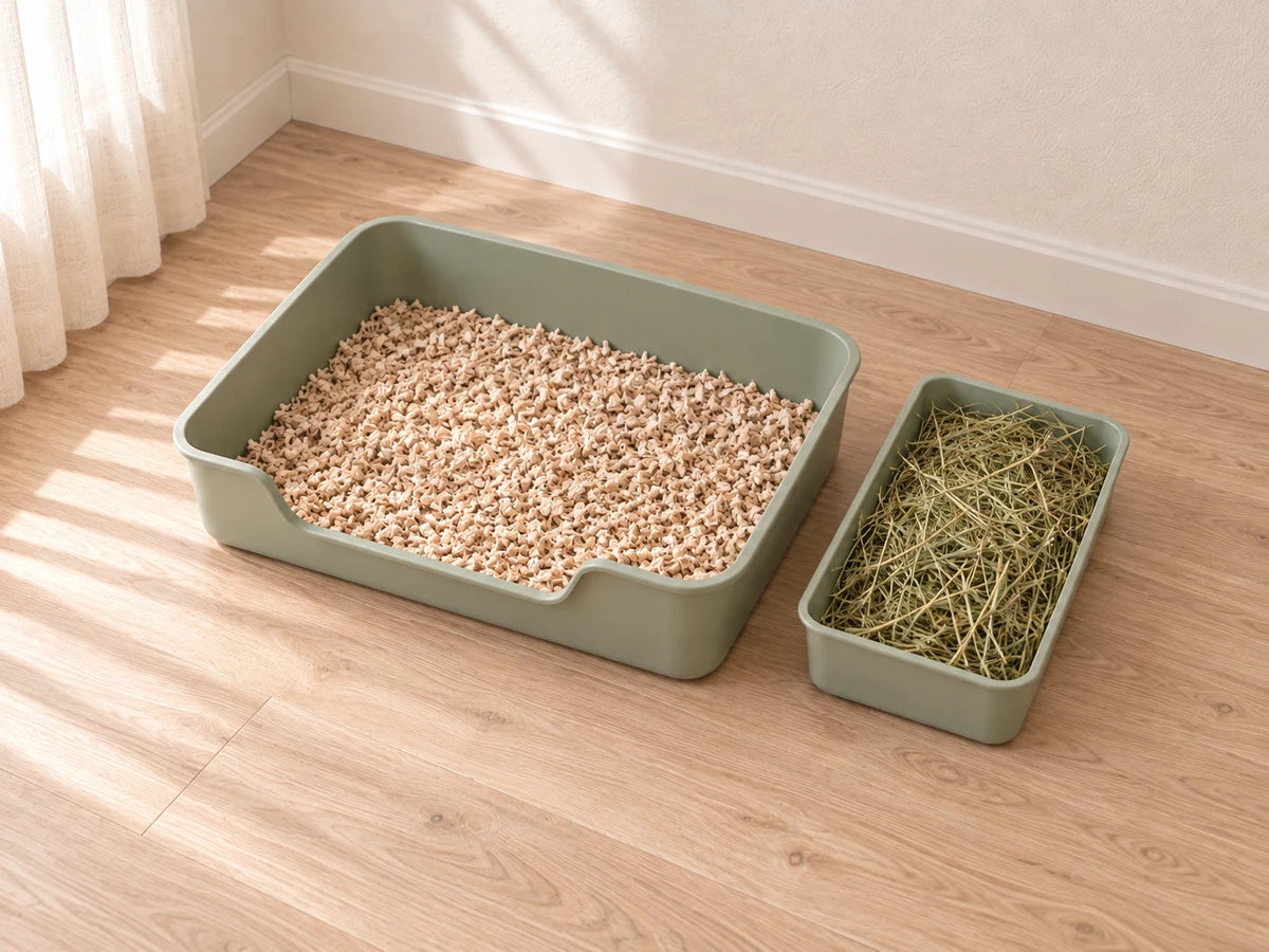 Overhead view of the separate pan and hay tray, with open floor in front.