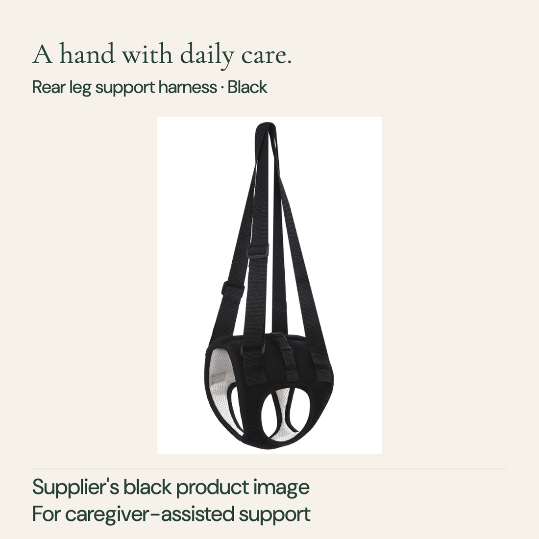 Supplier black rear support harness with long adjustable handles, wrap body, two leg openings and light mesh lining.