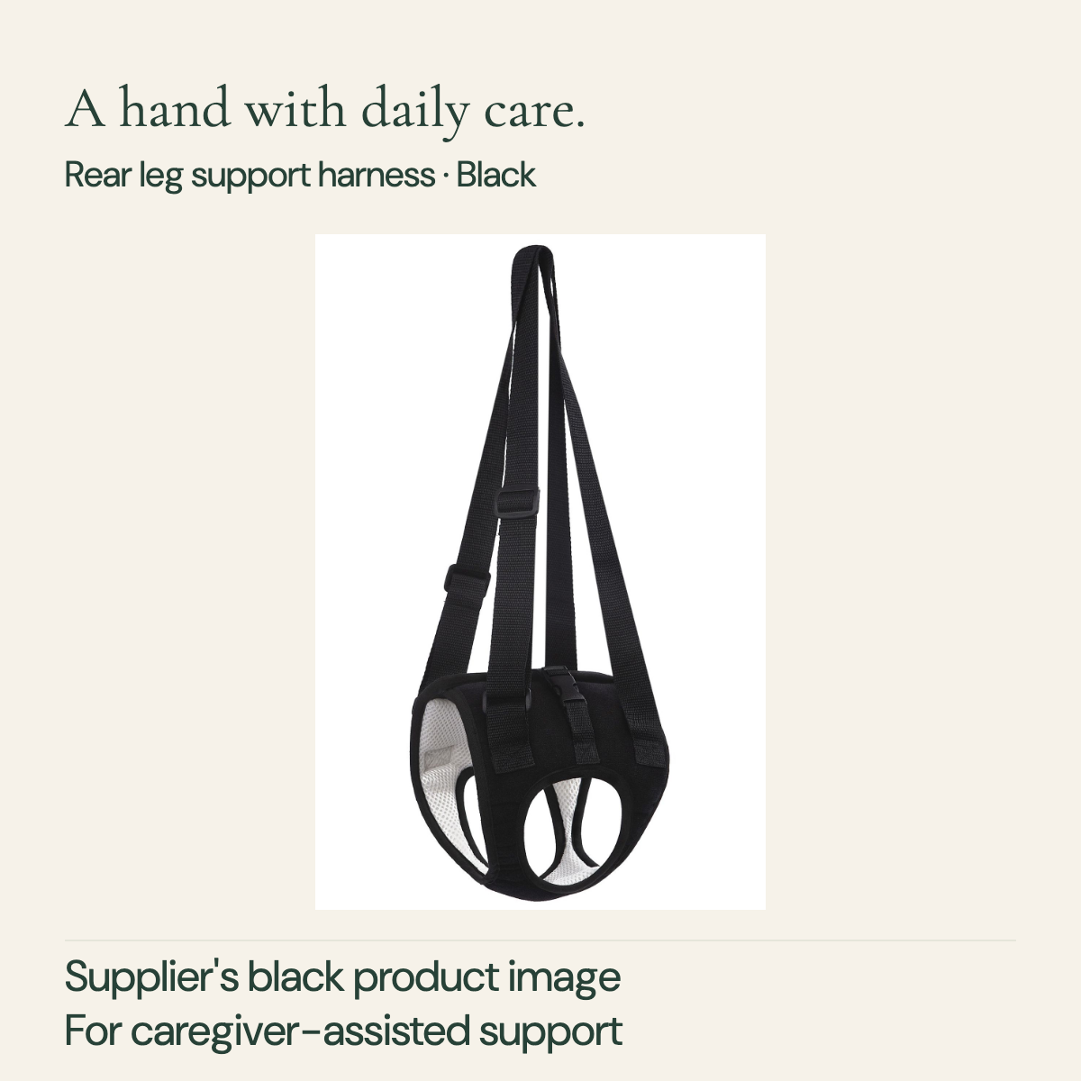 Supplier black rear support harness with long adjustable handles, wrap body, two leg openings and light mesh lining.