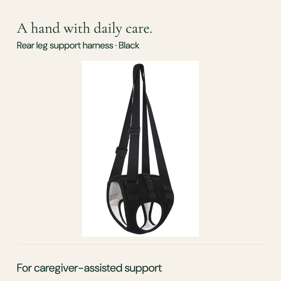 Black rear support harness with long adjustable handles, wrap body, two leg openings and light mesh lining.
