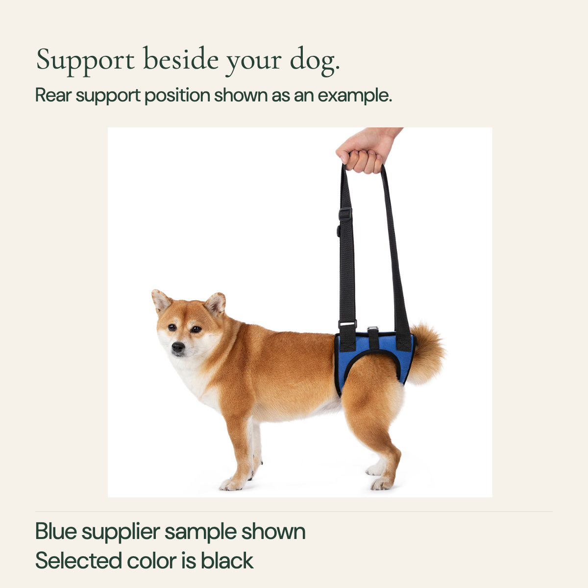 Supplier example of a standing dog wearing a blue rear-support harness with a hand holding its straps; selected product color is black.