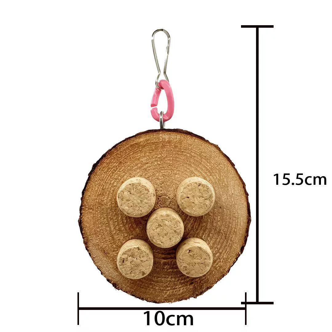 Dimension graphic indicating a 10 cm disk width and 15.5 cm overall hanging height including hardware.