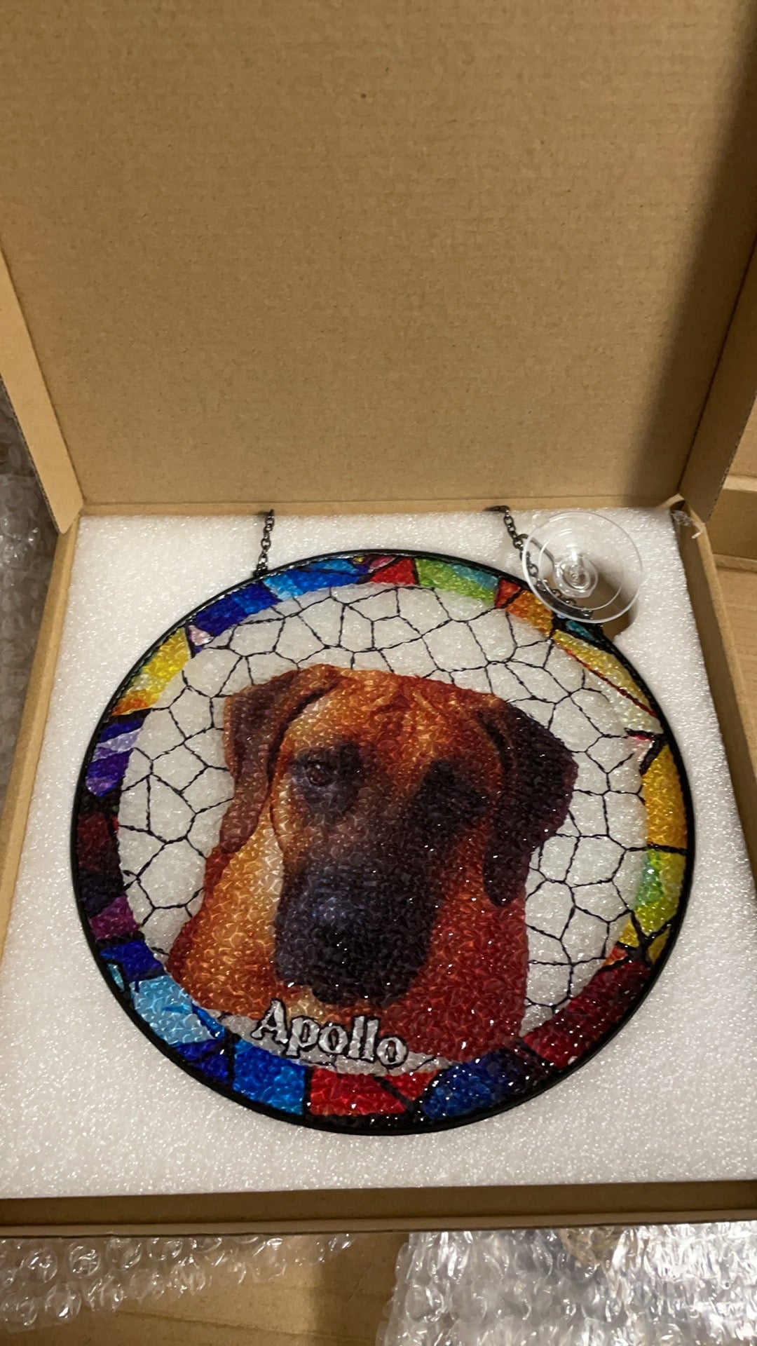 Actual finished Apollo pet-photo suncatcher in a foam-lined box, showing the front, hanging chain, and clear suction-cup accessory
