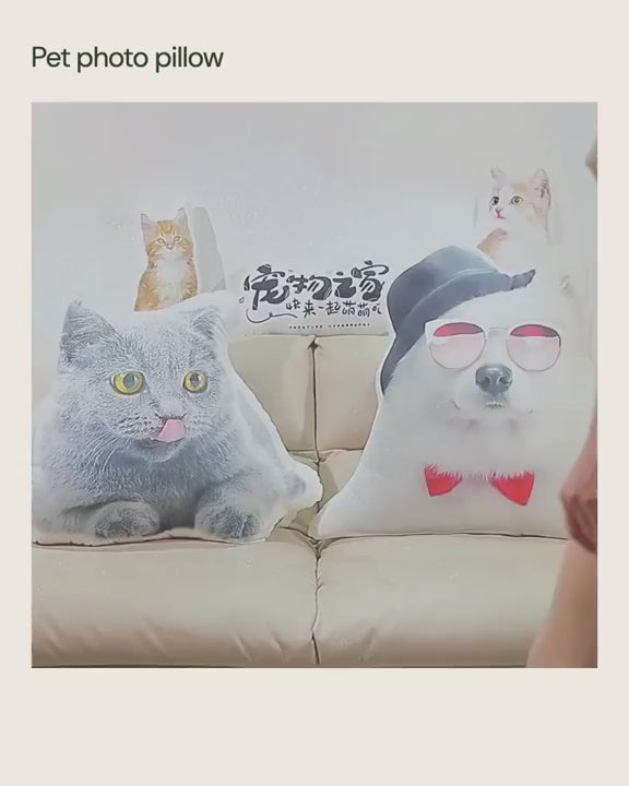 Pet photo pillow views.