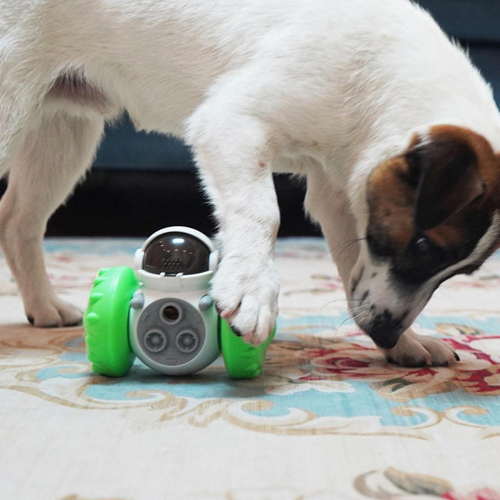 Dog Puzzle Feeder Treat Dispenser Interactive IQ Brain Training Dog Toys  Slow Feeder Pet Accessories -  Denmark