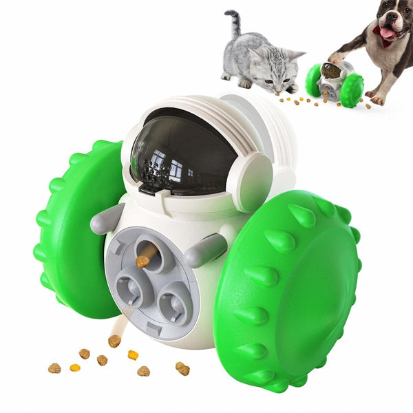 Treat Dispensing Puzzle Toys, Slow Feeder, Pets Intellectual Training Toy