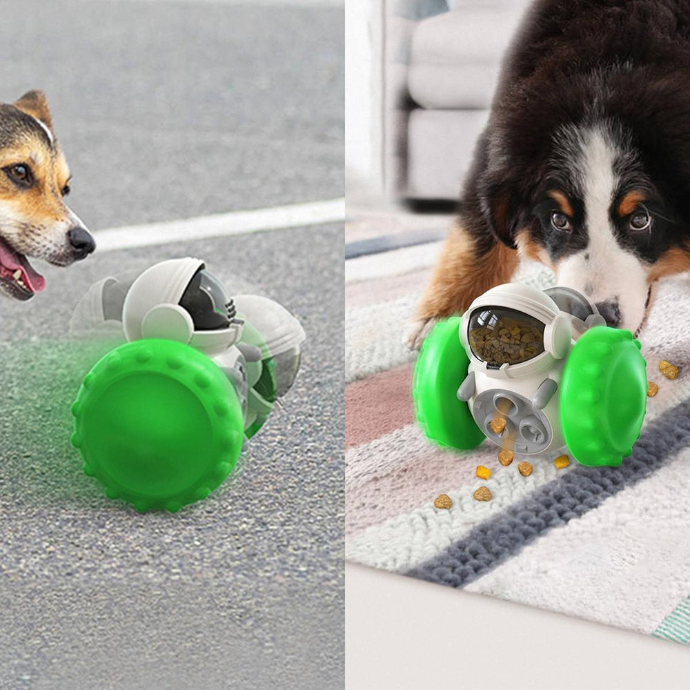 Treat Dispensing Puzzle Toys for Small Dogs, Interactive Chase Toys, Slow  Feeder, Perfect Alternative to Slow Feeder Dog Bowls to Improves Pets